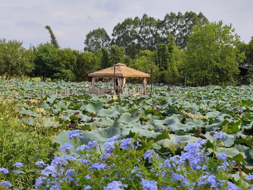 �й���1929cc����˹(�ɷ�)���޹�˾-�ٷ���վ