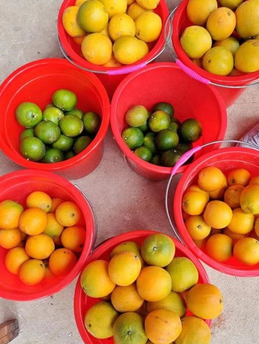 �й���1929cc����˹(�ɷ�)���޹�˾-�ٷ���վ