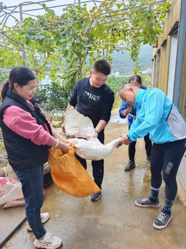 �й���1929cc����˹(�ɷ�)���޹�˾-�ٷ���վ