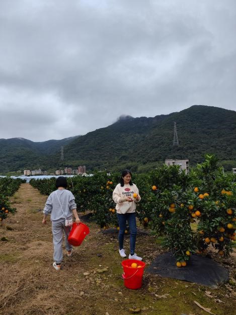 �й���1929cc����˹(�ɷ�)���޹�˾-�ٷ���վ