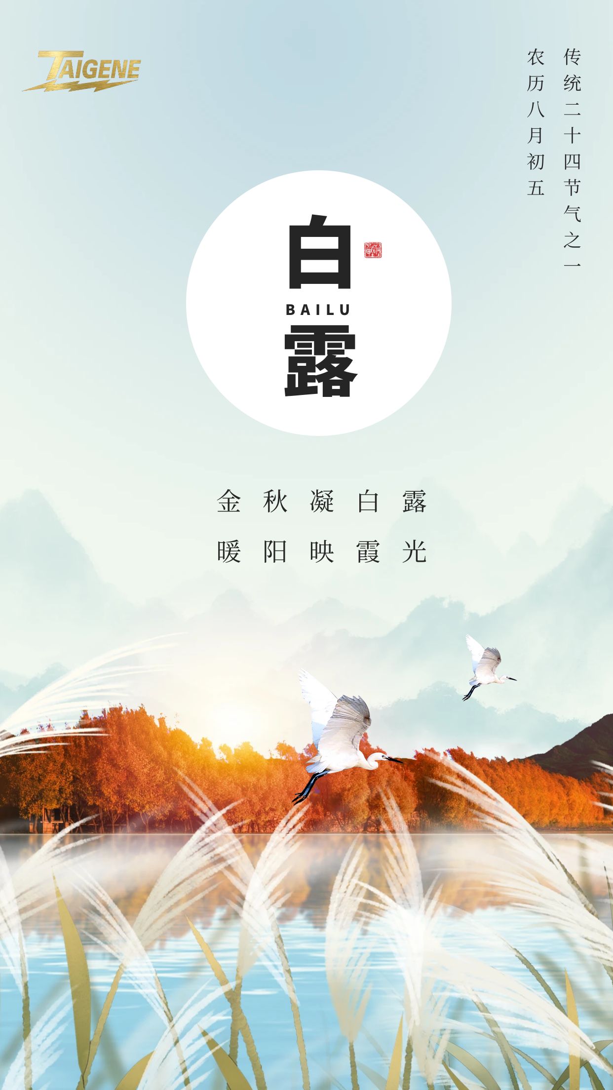 й1929cc˹(ɷ)޹˾-ٷվ