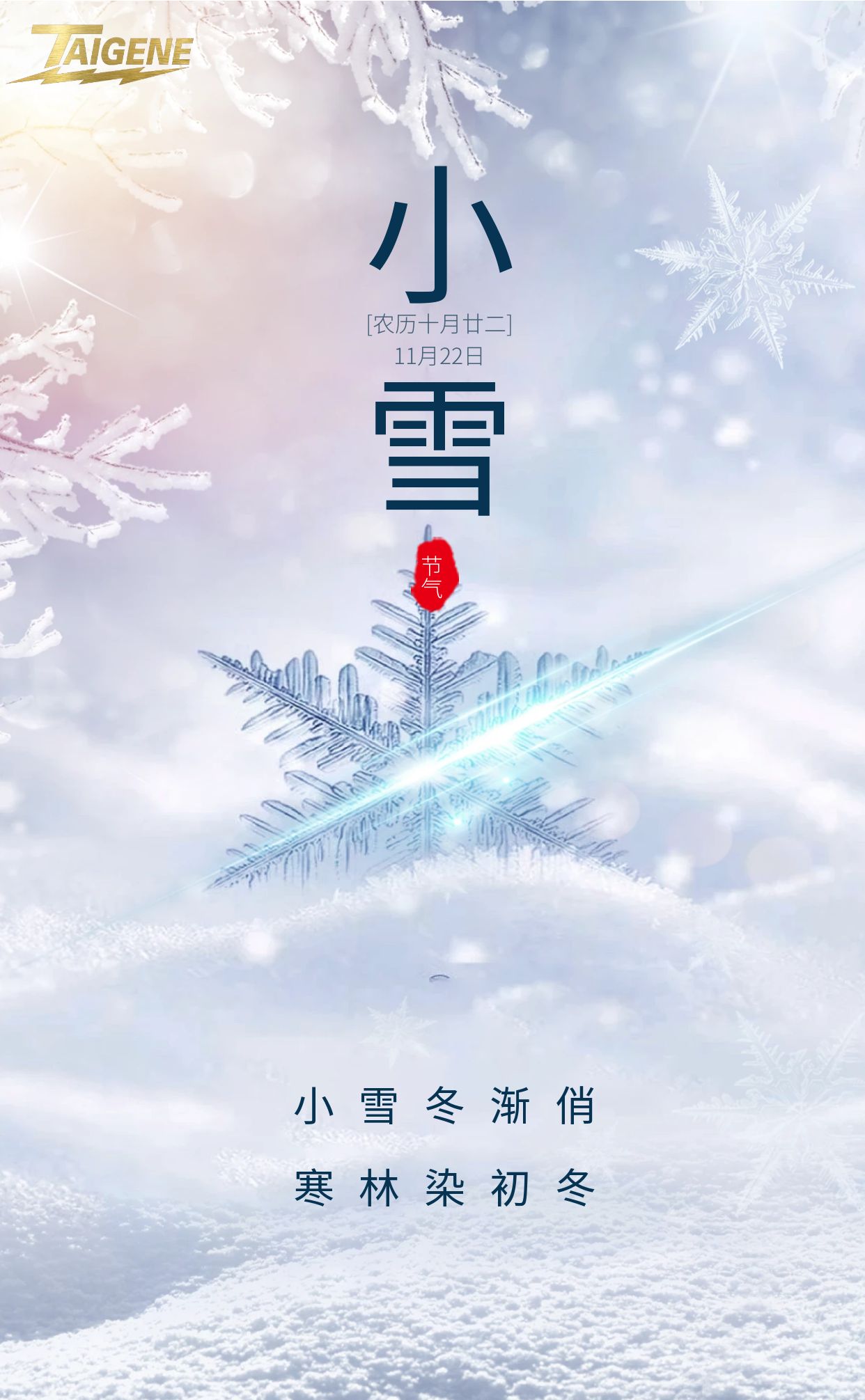 й1929cc˹(ɷ)޹˾-ٷվ